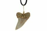 Fossil Mako Tooth Necklace - Bakersfield, California #95254-2